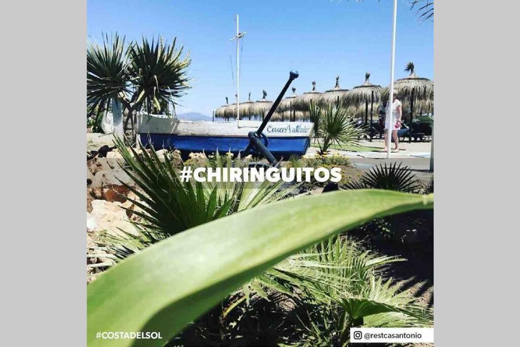Begonia Studio 119 Torremolinos Kültér fotó